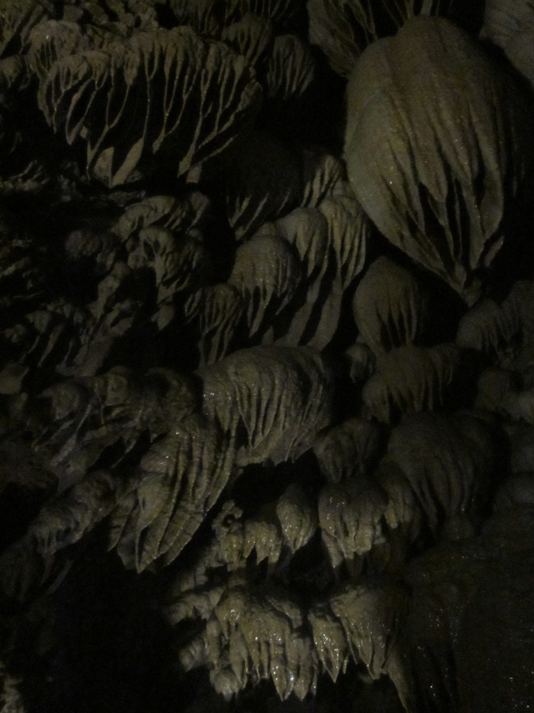 Inside Oregon Caves