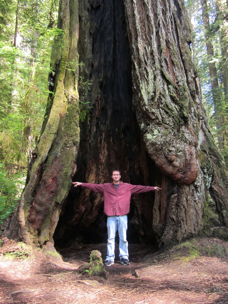 Keenan inside a redwood