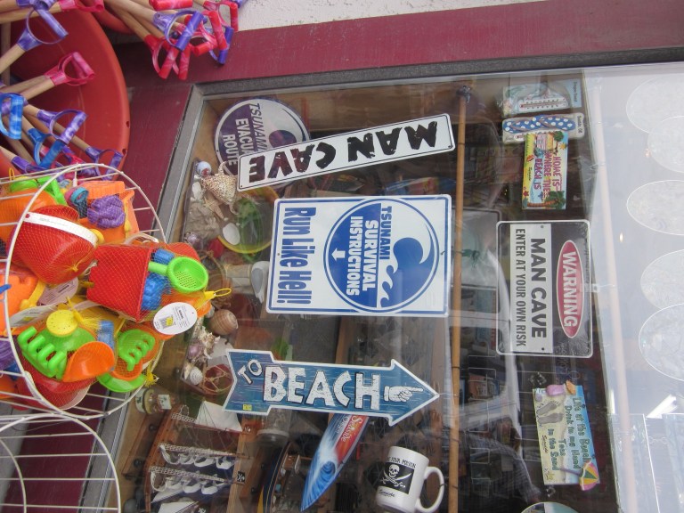 Tsunami Survival Instructions: Run like hell