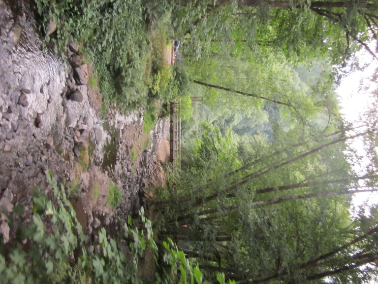 Spruce Run Campground - Oregon