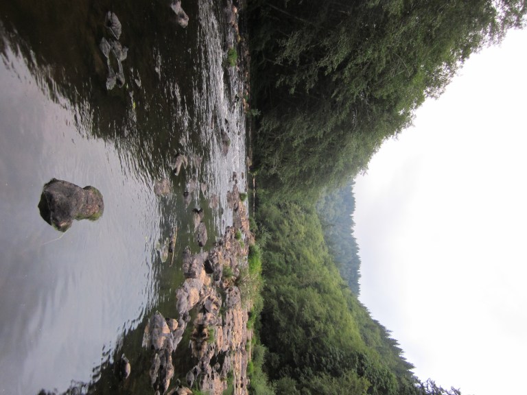 Nehalem River - Spruce Run Campground Oregon