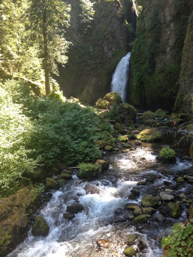 Wahclella Falls Day Trip