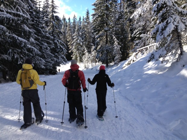 trillium lake snowshoe loop